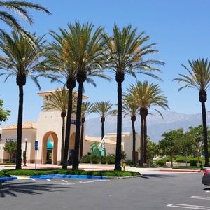 Meet your Posher, Yvonne